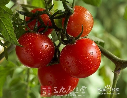 吃什么减肥最快 饮食减肥：6种水果要抓牢