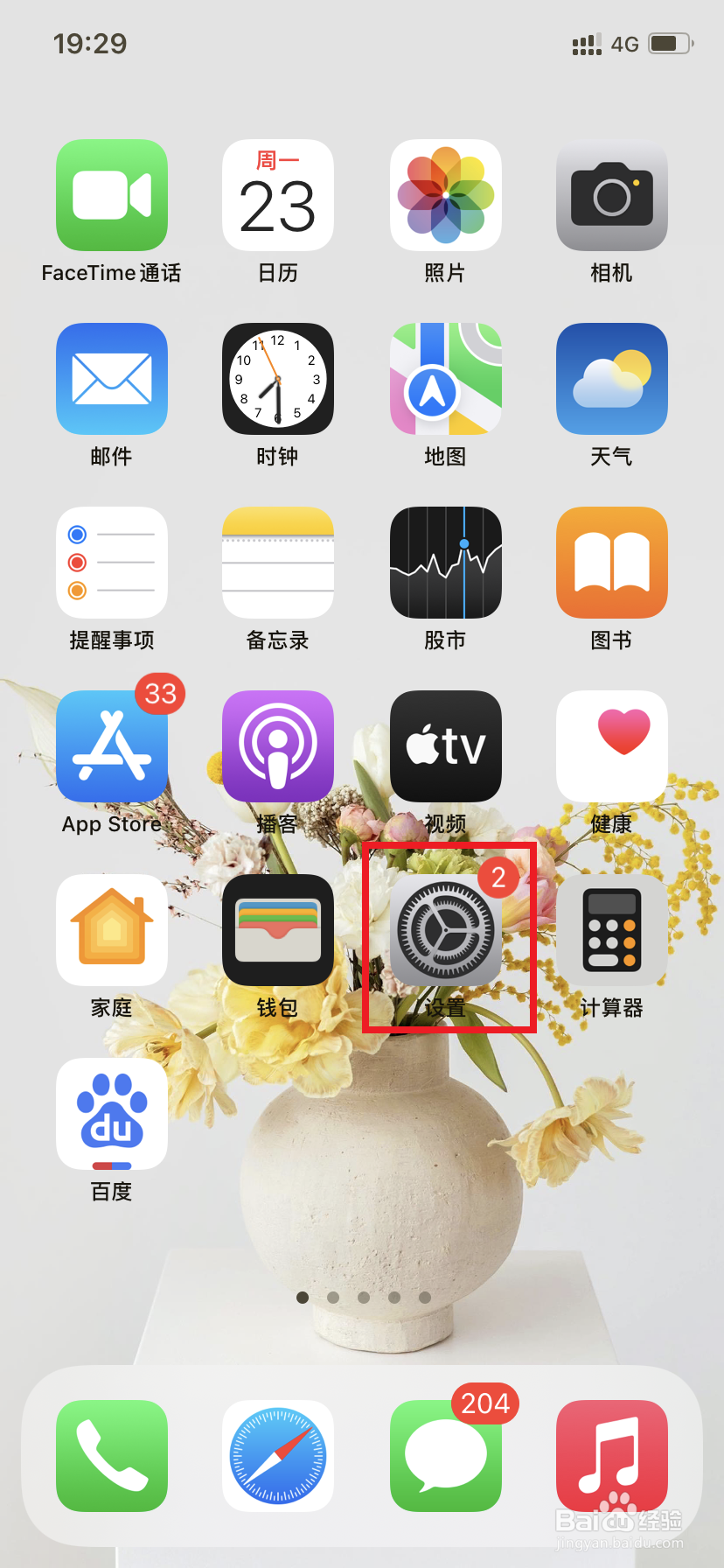 苹果手机如何放大视图