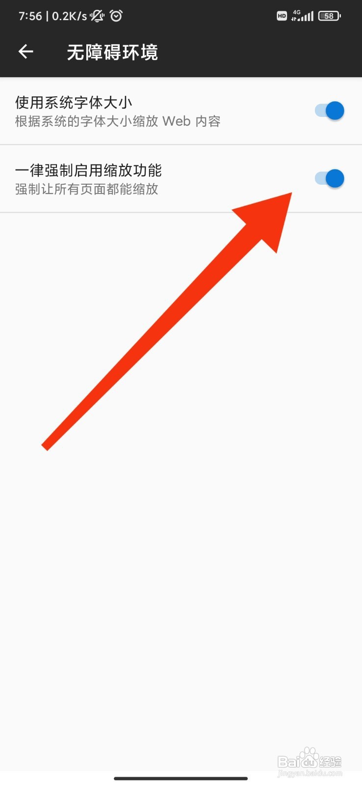蚂蚁浏览器如何设置强制启用缩放功能
