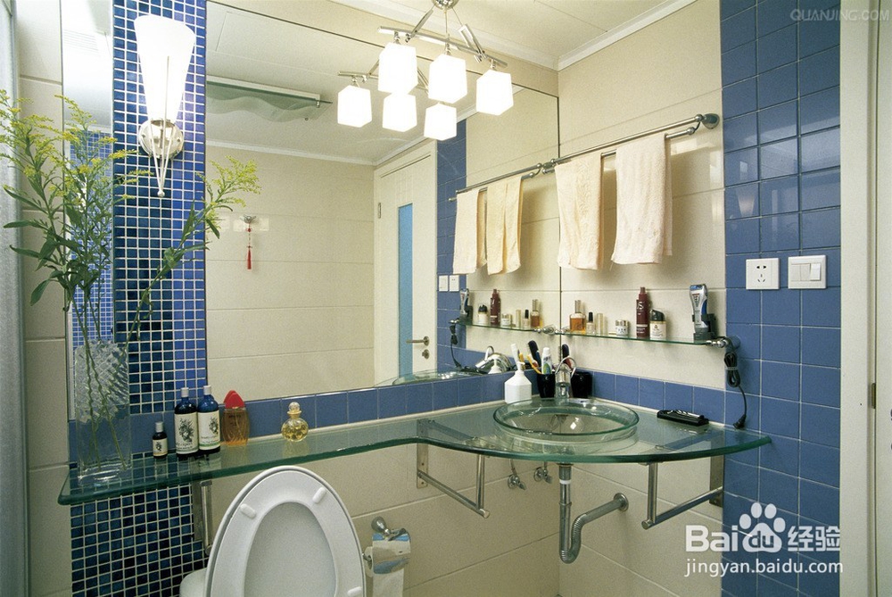 家里一定要摆放这几种绿植，保你财旺，运气旺