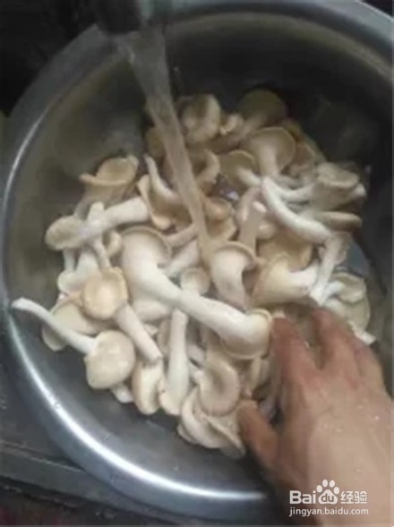 平菇炒肉的家庭做法