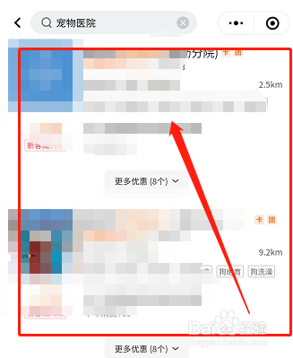 怀孕母猫得了猫鼻支怎么办