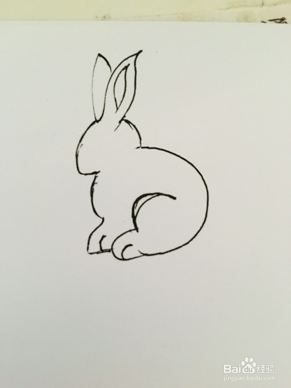 幼儿简笔画动物：小白兔的画法