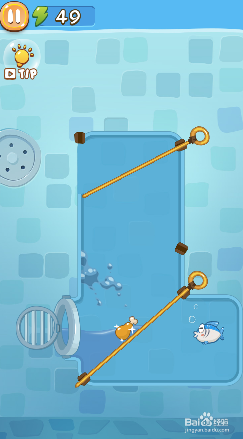 A Wise Fish的Level 6如何通关?