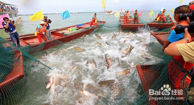 如何在网上开店怎么找货源，电子商务平台有哪些