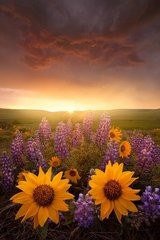 生活处处要细心，认真！