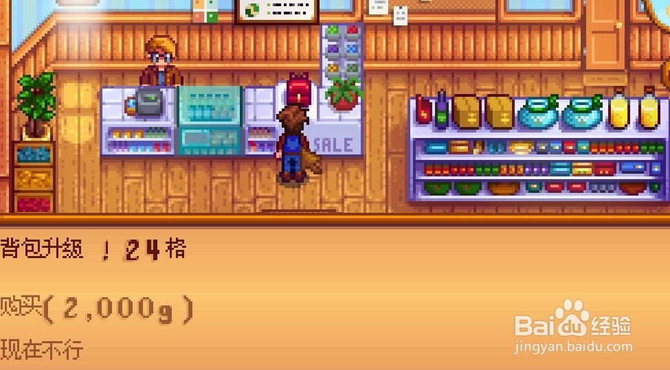 星露谷物语怎么升级背包扩展物品栏