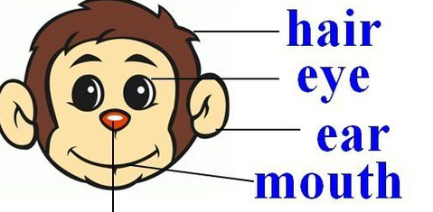 怎么快速记忆英语单词？