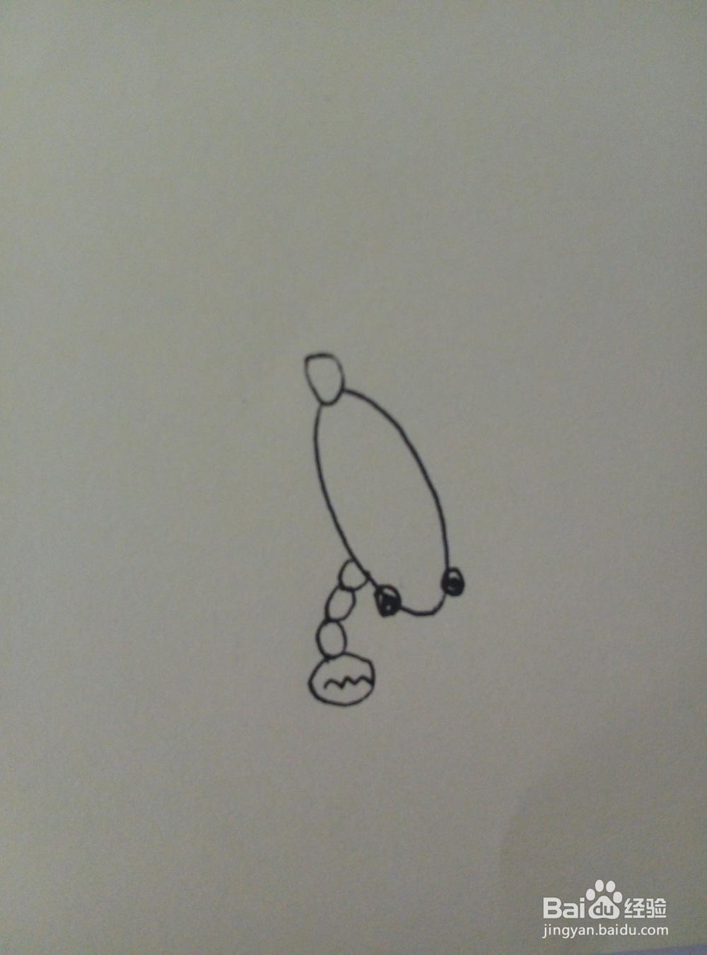 简笔的一只蝎子怎么画