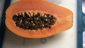 牛奶炖木瓜怎么做