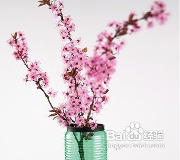 婚后情人节攻略——如何给你丈夫一个惊喜