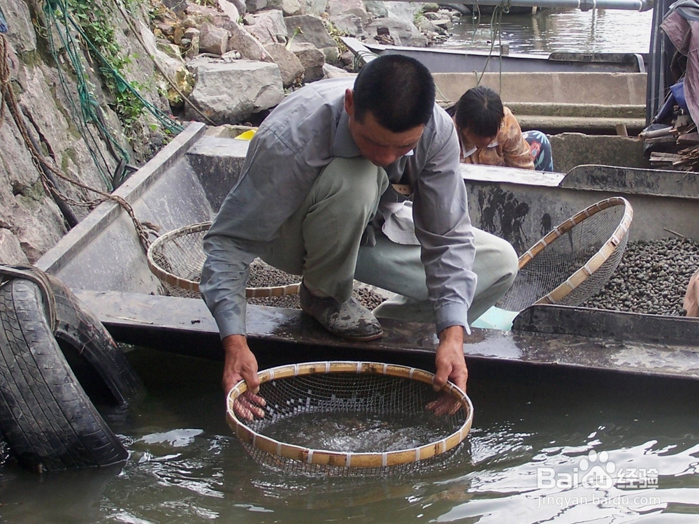 螺蛳表面清洗的方法