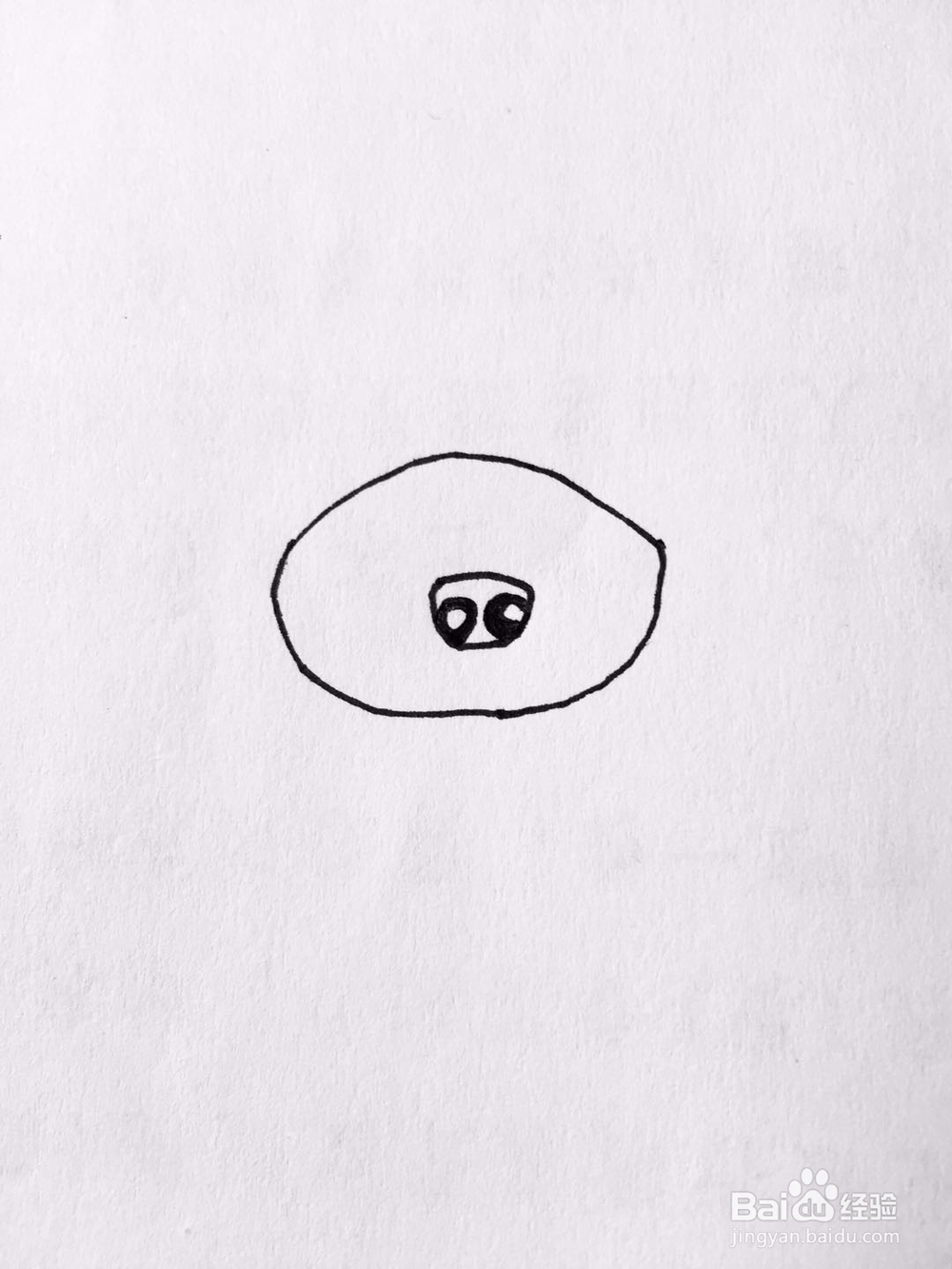 茉莉手绘之萌宠泰迪