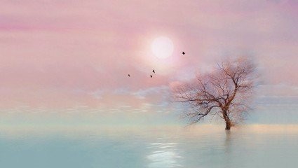 女性尿道炎治疗方法