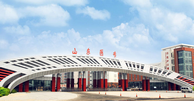 山东有哪些大专院校