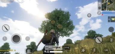 全息灌木使用技巧攻略