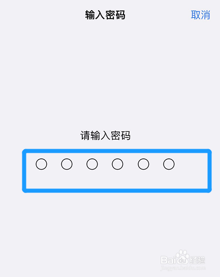 苹果手机怎么设置自动填充密码