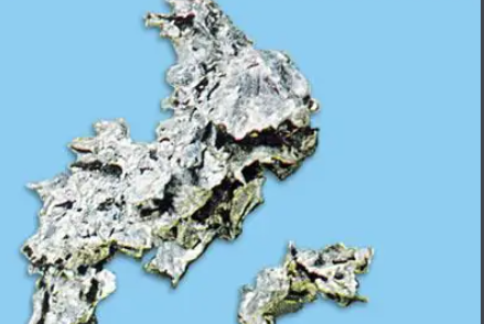zn是什么意思呢
