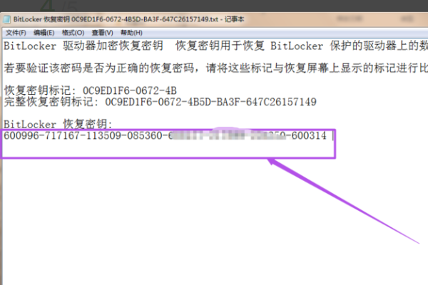 移动硬盘加密了，可是忘记密码了怎么解锁在线等。求高手赐教