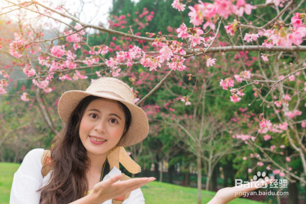 不会任何日语去日本旅行,怎么玩?