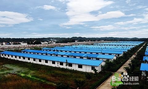 怎样合理规划兽医病料解剖室