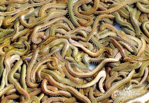 新手海钓注意事项