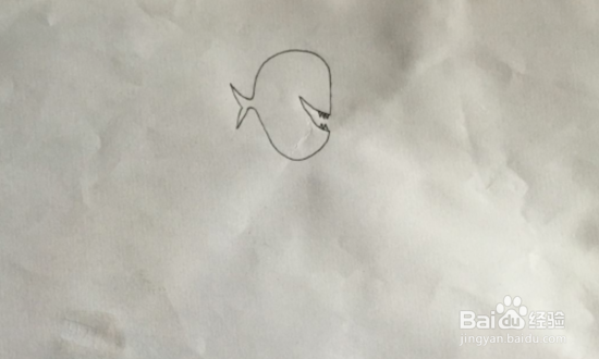 如何画自带灯泡的琵琶鱼