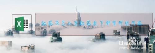 数据库怎么查数据表下都有那些内容
