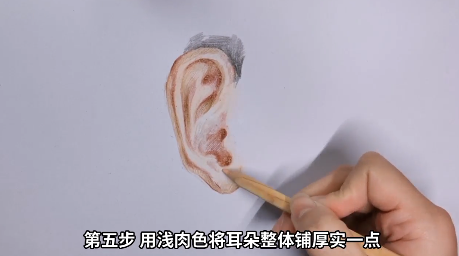 如何用彩铅画耳朵？