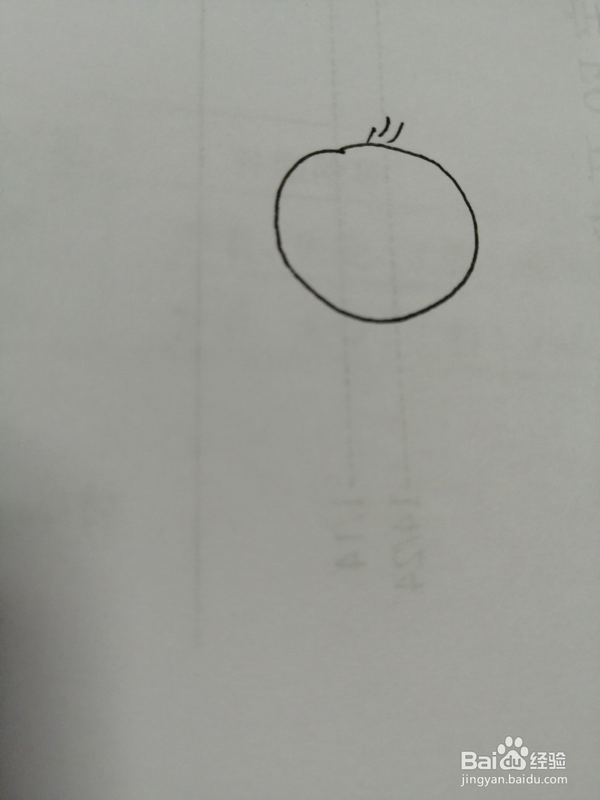 简笔画小鸟怎么画
