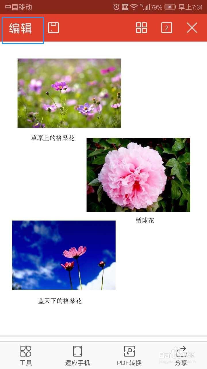 手机WPS PDF中如何更改字号