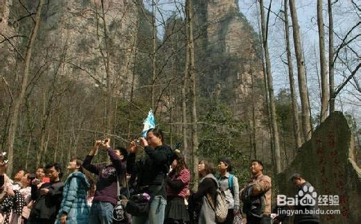 湖南张家界自助旅行攻略