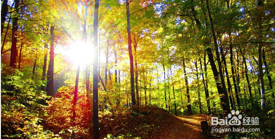 你说，去哪里享受一下阳光呢？