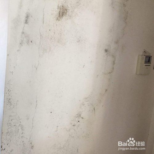 墙面发霉的原因和处理方法