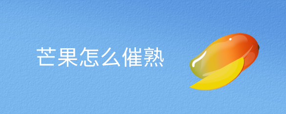 芒果怎么催熟