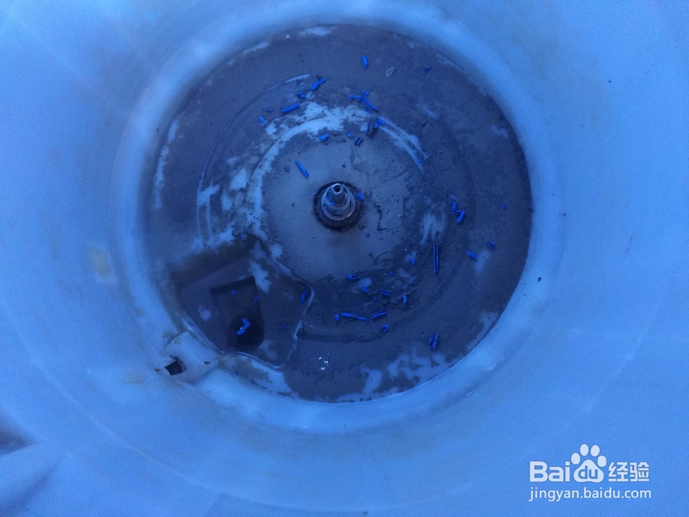 十多年的小天鹅洗衣机内桶清洗