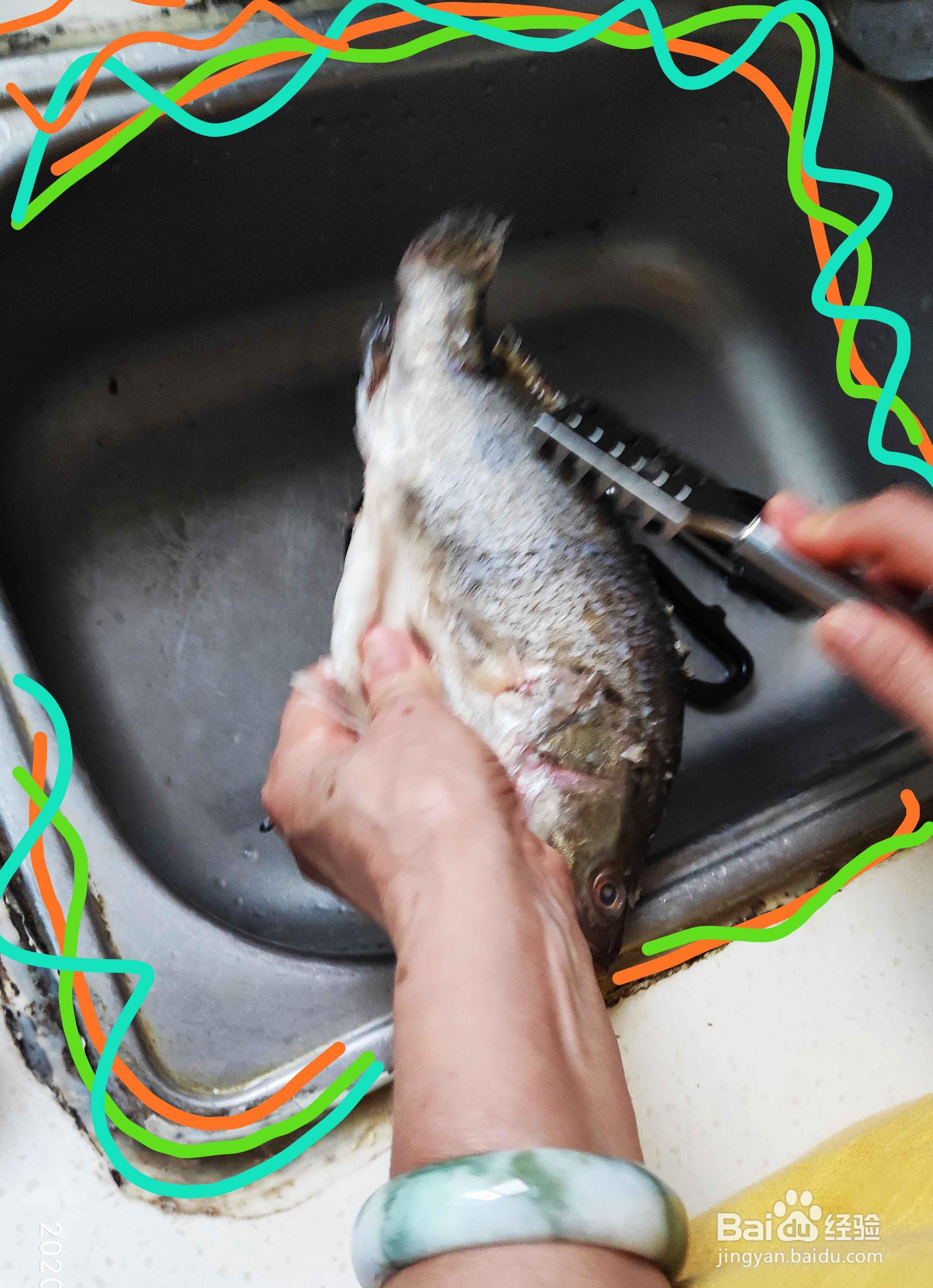 教你做喜欢的糖醋鳜鱼