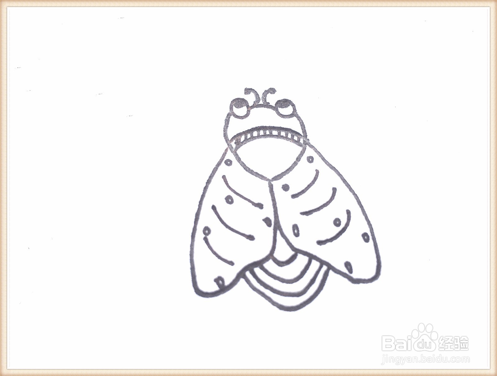 一笔一笔教你画中华蜜蜂简笔画
