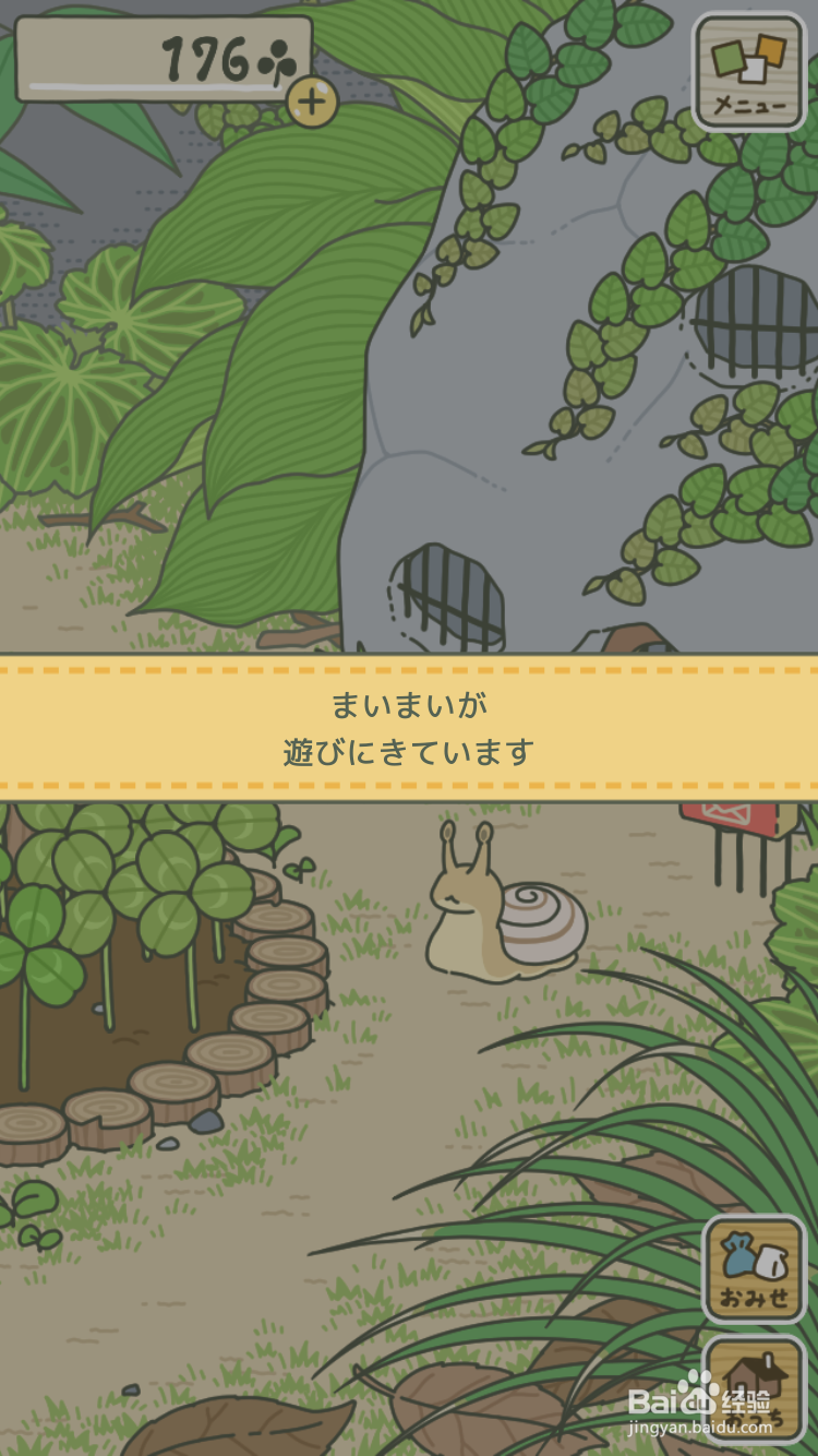 青蛙旅行为什么会在国内流行呢？