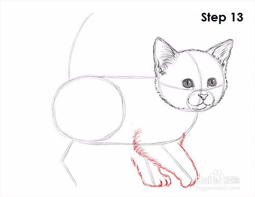 如何画一只小猫——加菲的吃货生活