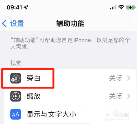 iphone旁白怎么开启文本识别
