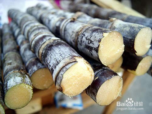 如何提高甘蔗糖份