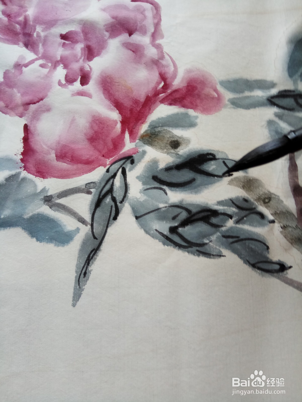 半开折枝牡丹的写意画法