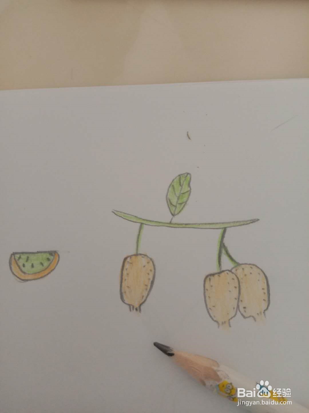简笔画 如何画猕猴桃