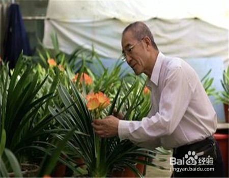 老年人如何老有所乐