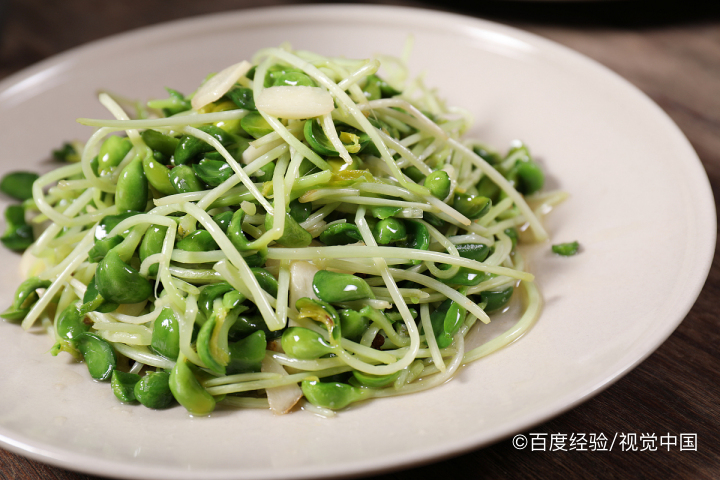 黑豆芽怎么发苗菜水培方法