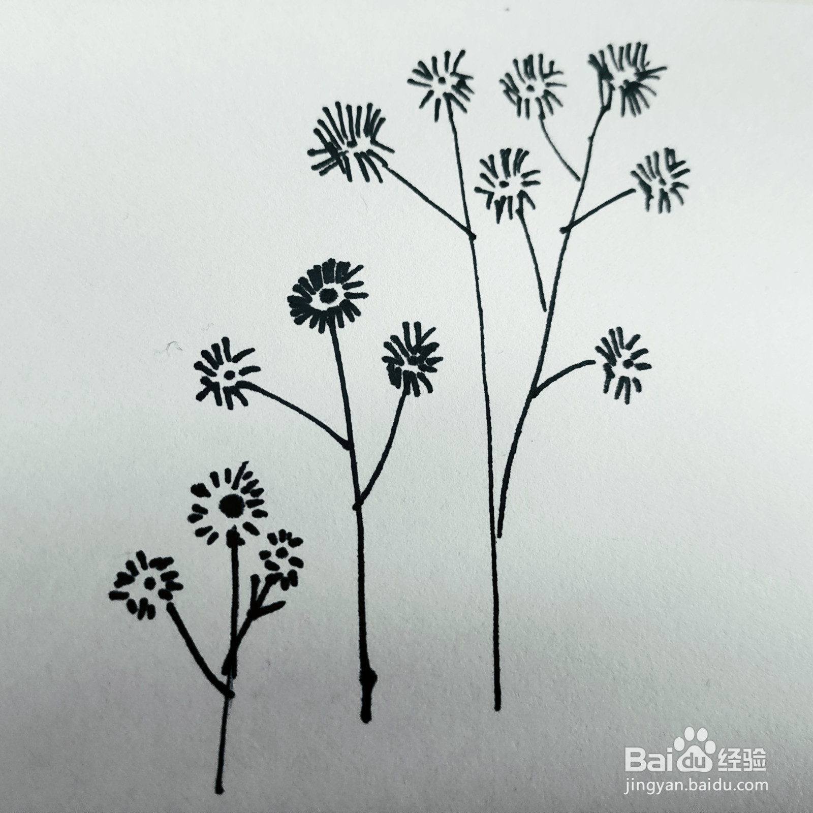 三岁孩子也能够学会的画小花简笔画的画法
