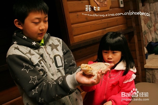 温哥华自然公园珍奇爬行动物展