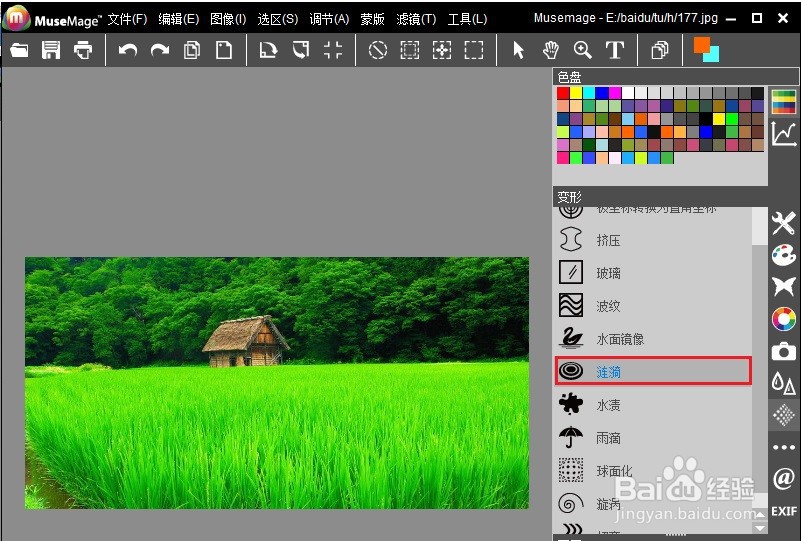 MuseMage怎么设计图片涟漪效果