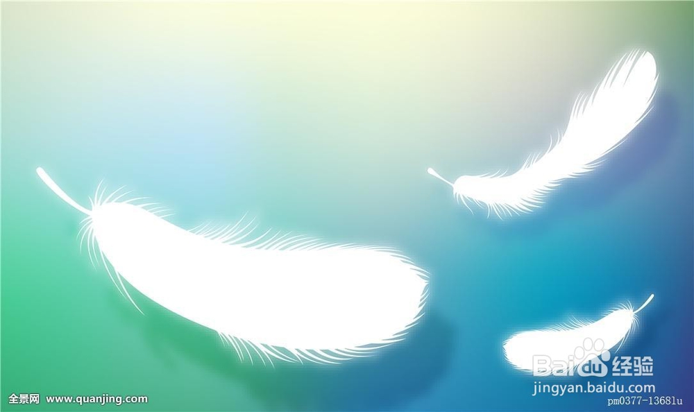 色彩的语言-白色